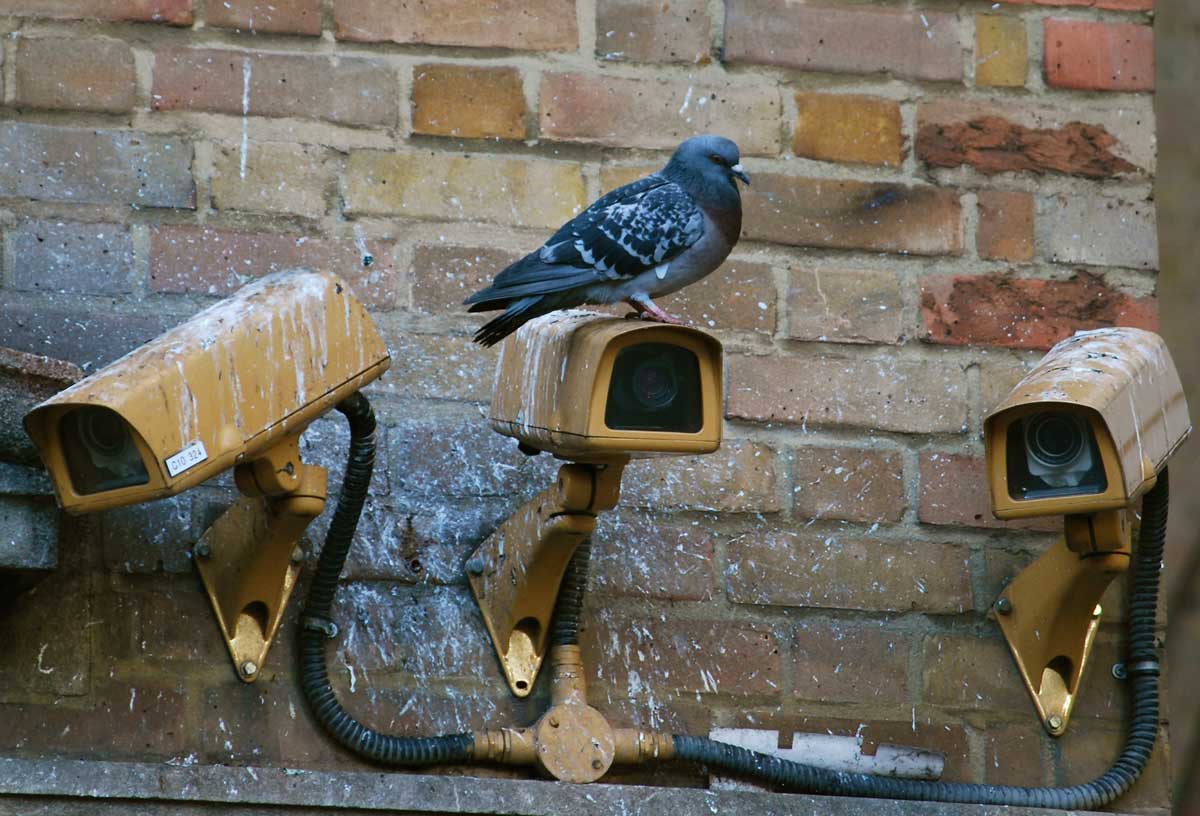 TERSUS, Schädlingsbekämpfung, Betriebshygiene, Monitoring