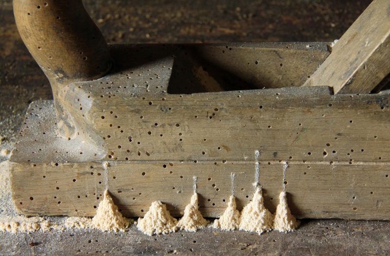 TERSUS, Schädlingsbekämpfung, Betriebshygiene, Monitoring