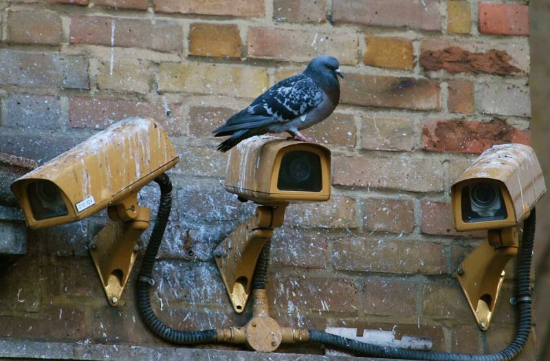 TERSUS, Schädlingsbekämpfung, Betriebshygiene, Monitoring